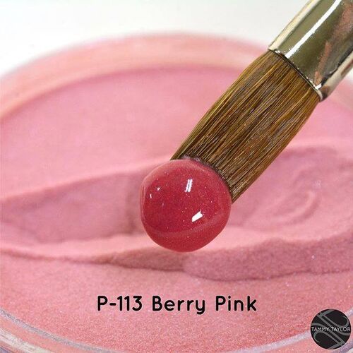 113 Polvo Prizma Fucsia 42g