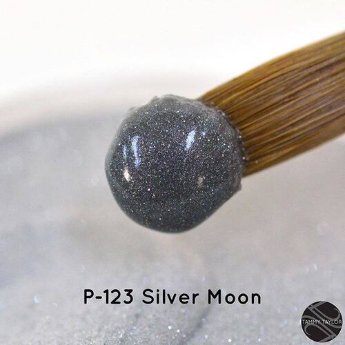 123 Polvo Prizma Plata 42g